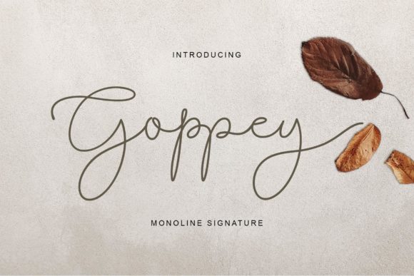 Goppey Font