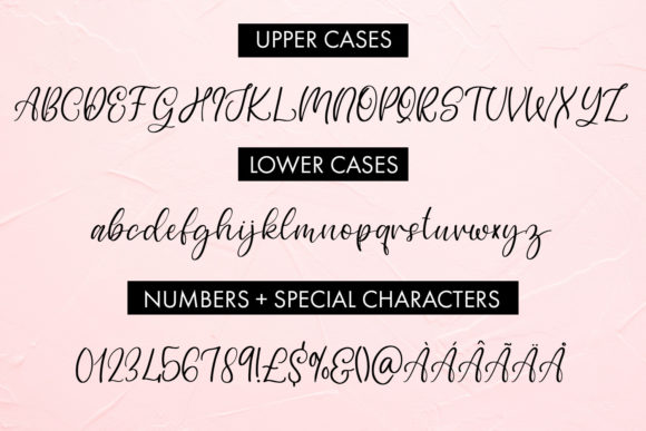 Graciella Font Poster 2