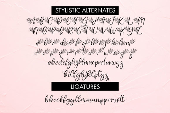 Graciella Font Poster 3