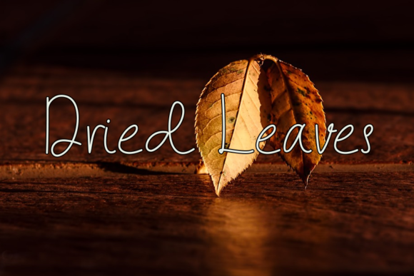 Green Leaf Font Poster 3