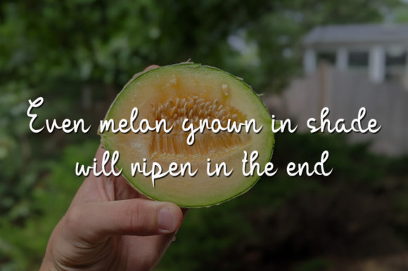 Green Melon Font Poster 2
