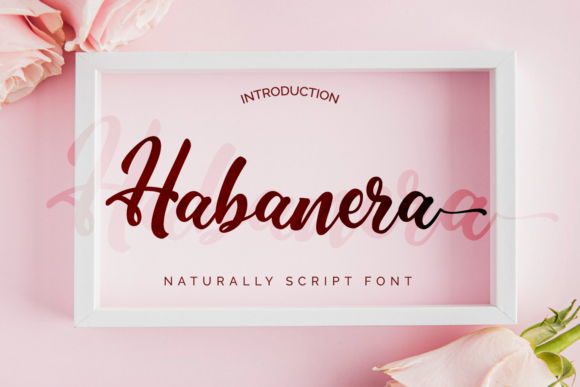 Habanera Font