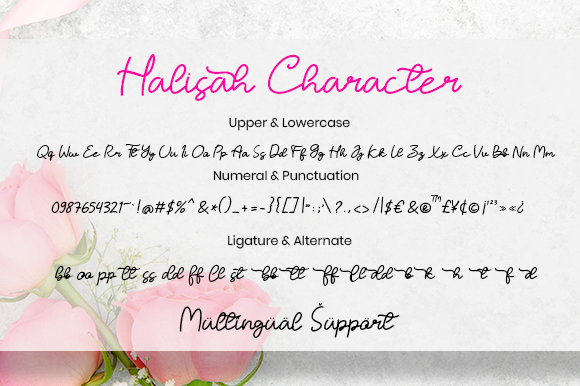 Halisah Font Poster 7
