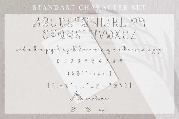 Hallo Beautiful Font Poster 5