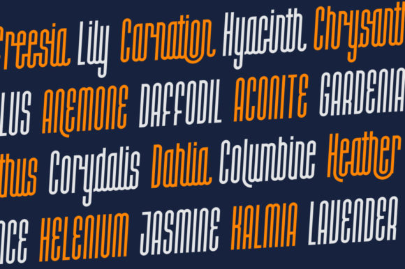 Halokia Font Poster 4