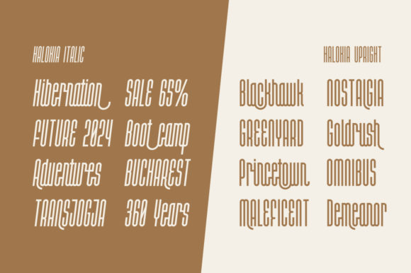 Halokia Font Poster 10