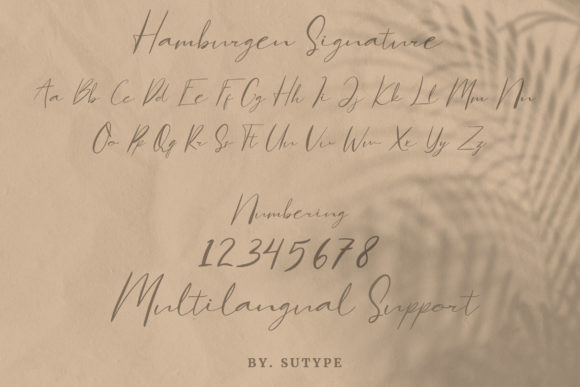 Hamburgen Signature Font Poster 5
