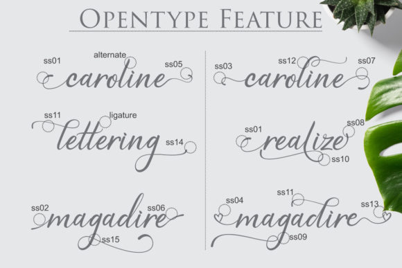 Hamila Font Poster 6