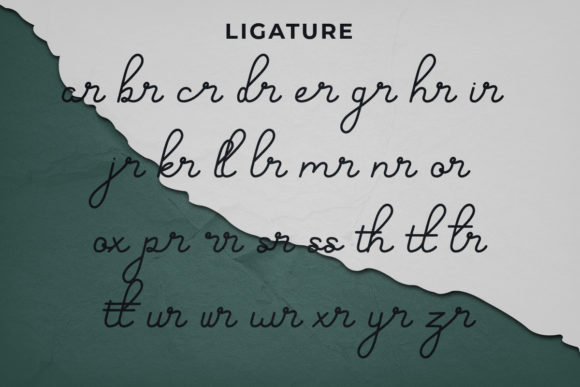 Hand Signature Font Poster 5