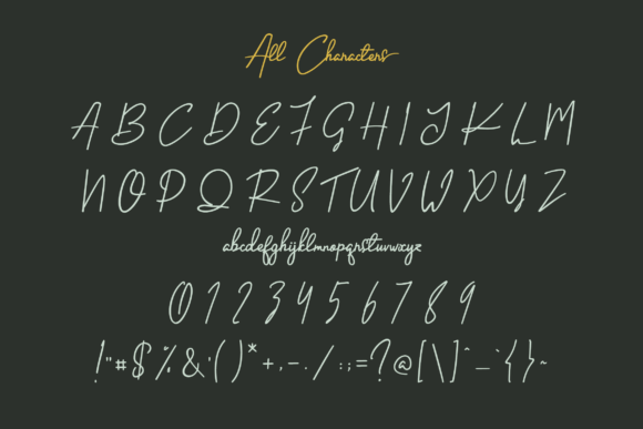 Handletter Signature Font Poster 6