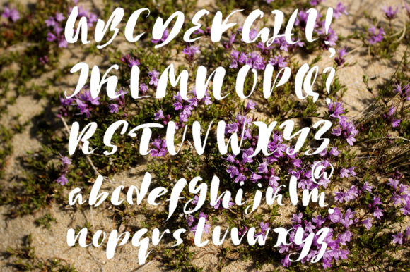 Handwritten Trio Font Poster 6
