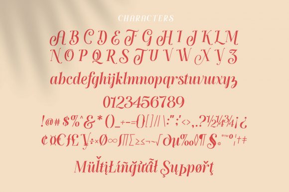 Handy Quomte Font Poster 4