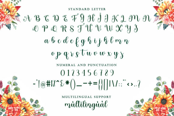 Hanitha Font Poster 3