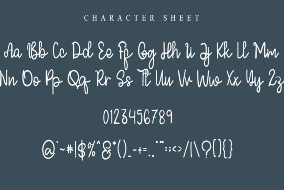 Happiness Birthday Font Poster 5