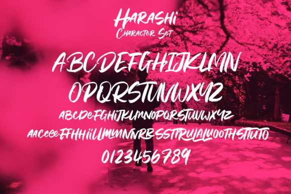 Harashi Font Poster 9