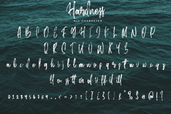 Hardness Font Poster 9