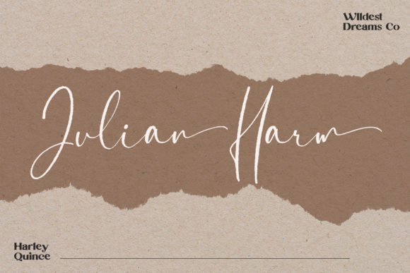Harley Quince Font Poster 11