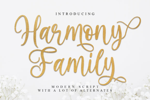 Harmony Family Font Poster 1