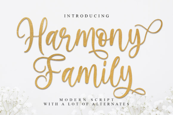 Harmony Family Font Poster 1