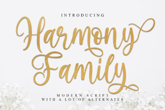 Harmony Family Font