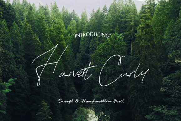 Harvest Curly Font Poster 1