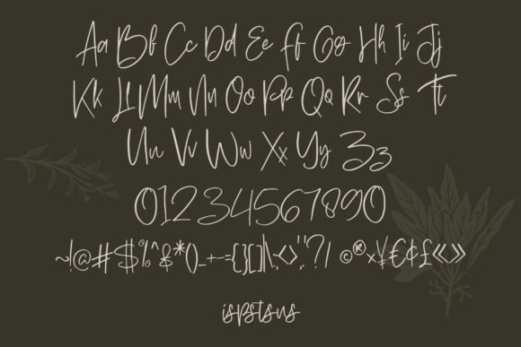 Hawkins Park Font Poster 6