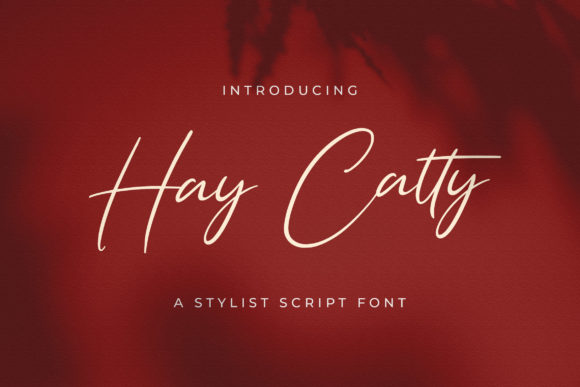 Hay Catty Font Poster 1
