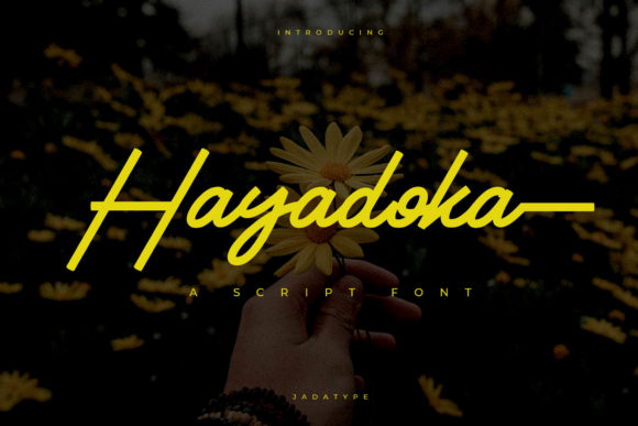 Hayadoka Font Poster 1