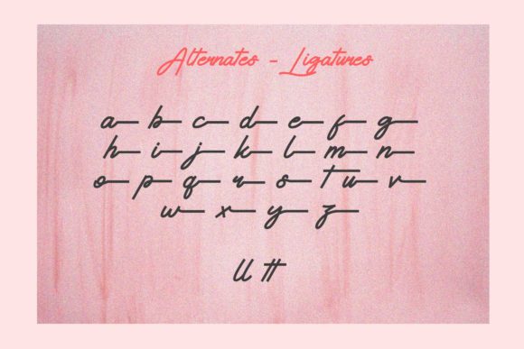 Hayadoka Font Poster 6