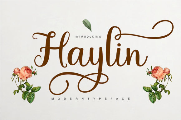 Haylin Script Font