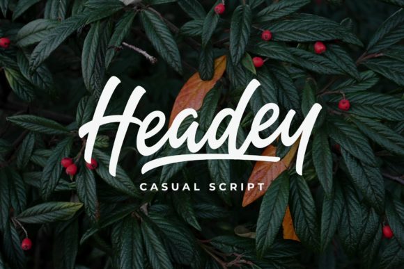 Headey Font Poster 1