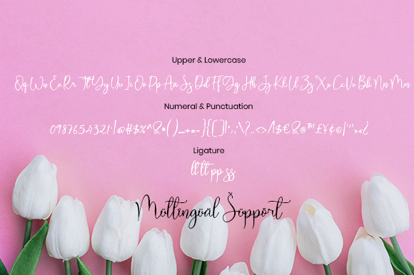 Heart Haily Font Poster 8