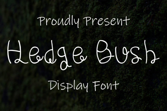 Hedge Bush Font