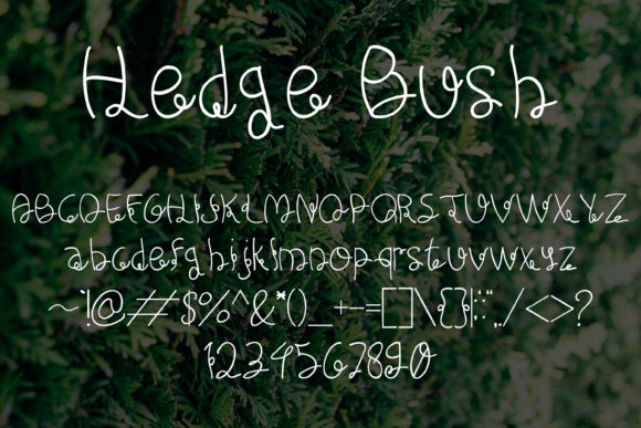 Hedge Bush Font Poster 5