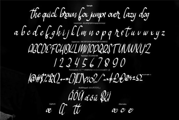 Heisen Font Poster 6