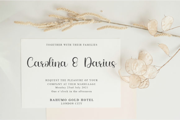 Hello Beauty Font Poster 2