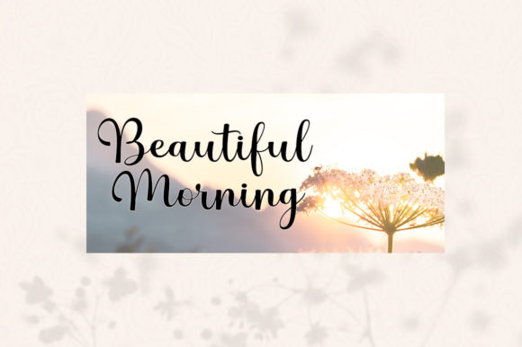 Hello Belly Font Poster 4
