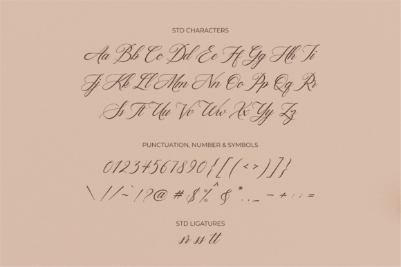 Hello Bride Font Poster 14