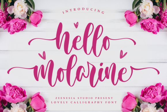 Hello Molarine Font Font Poster 1
