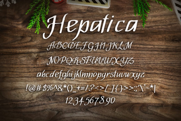 Hepatica Font Poster 2