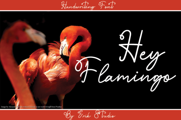 Hey Flamingo Font