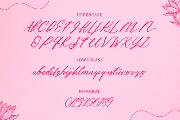 Hey Jane Font Poster 2