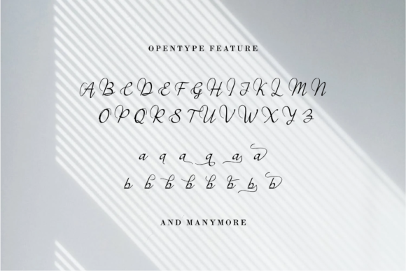 Hey Midnight Font Poster 9