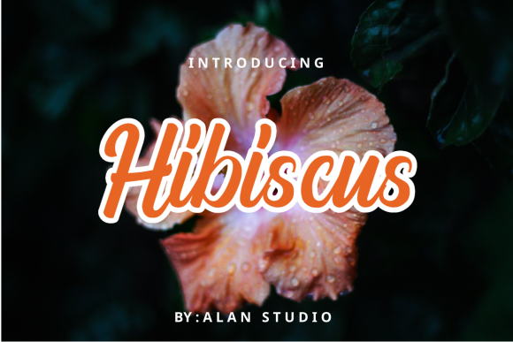 Hibiscus Font