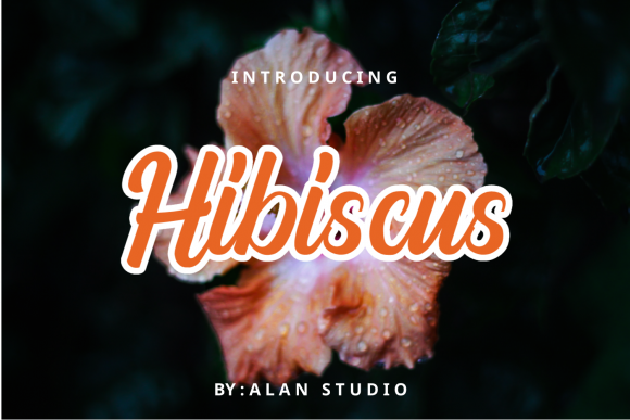 Hibiscus Font Poster 1