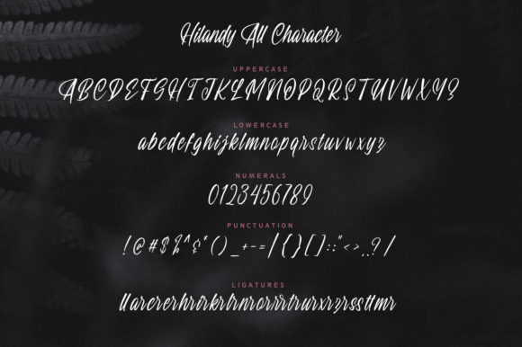 Hilandy Font Poster 3