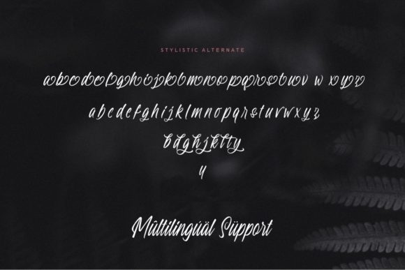 Hilandy Font Poster 4