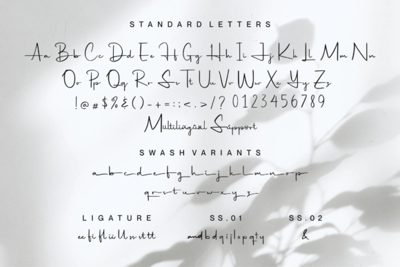 Hildaquin Font Poster 10