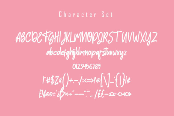 Hisstories Font Poster 6