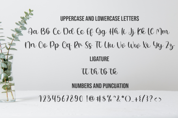 Historia Font Poster 5